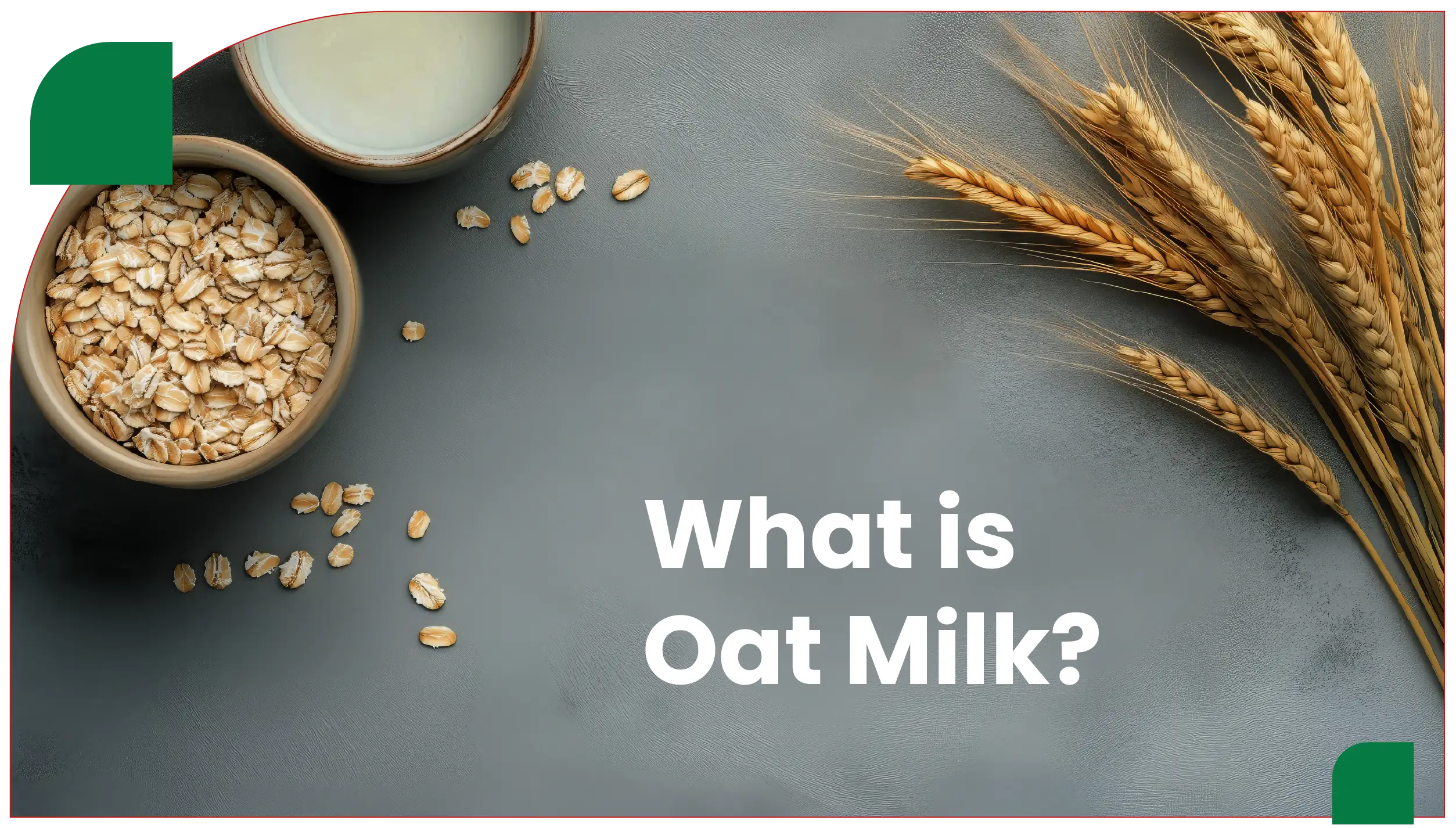 What is Oat Milk?